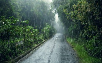 ¿Cómo actuar al volante en caso de lluvias y Tormentas?